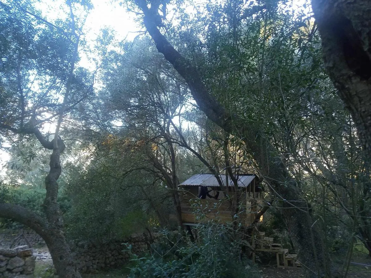 Finca Cas Canar Sencelles Spain